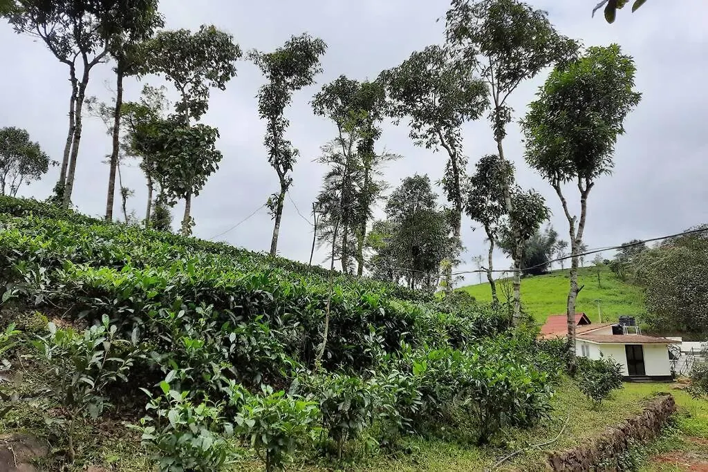 Farmstay In ചില്ലുകൂടാരം At Les Domki Et Al. Vagamon