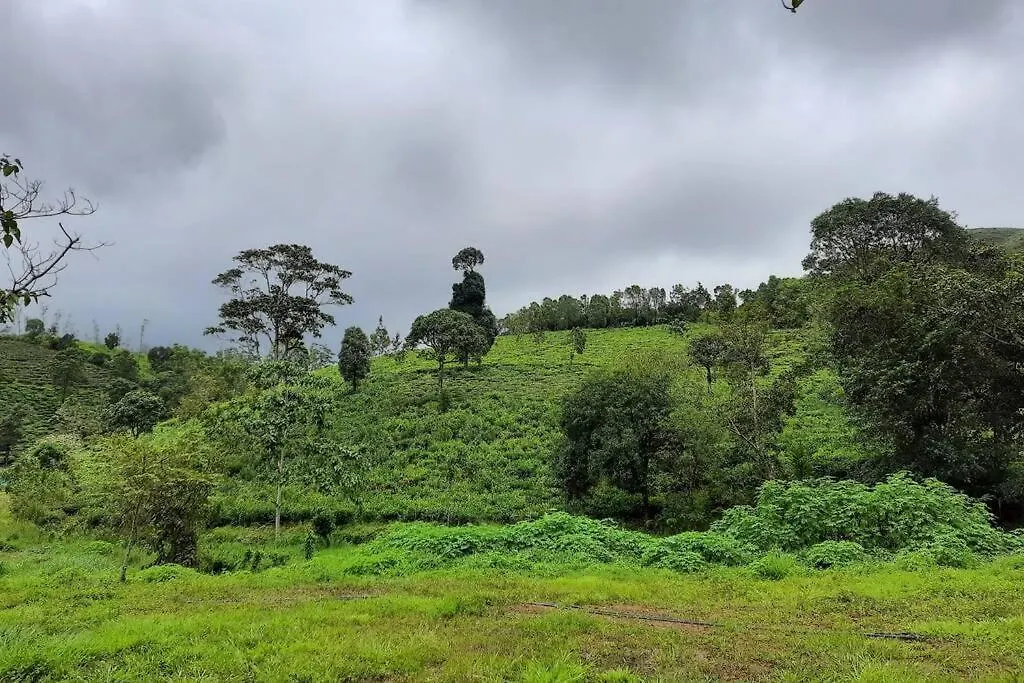 Farmstay In ചില്ലുകൂടാരം At Les Domki Et Al. Vagamon
