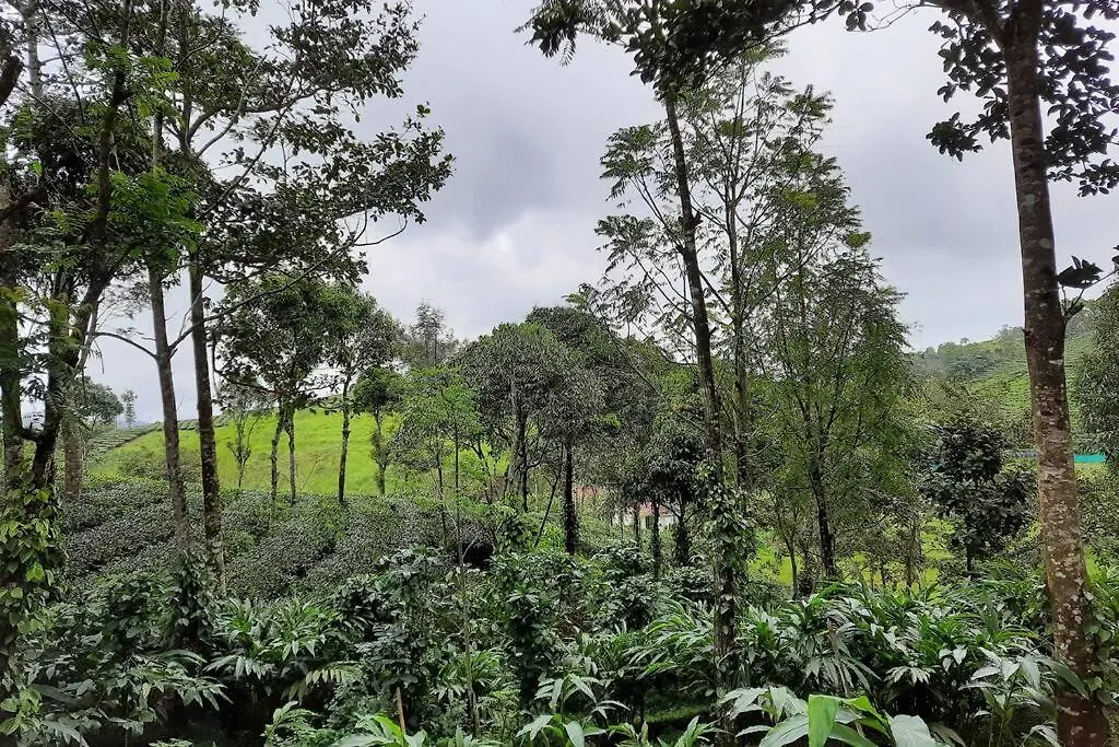 Tatil Evi Farmstay In ചില്ലുകൂടാരം At Les Domki Et Al. Vagamon